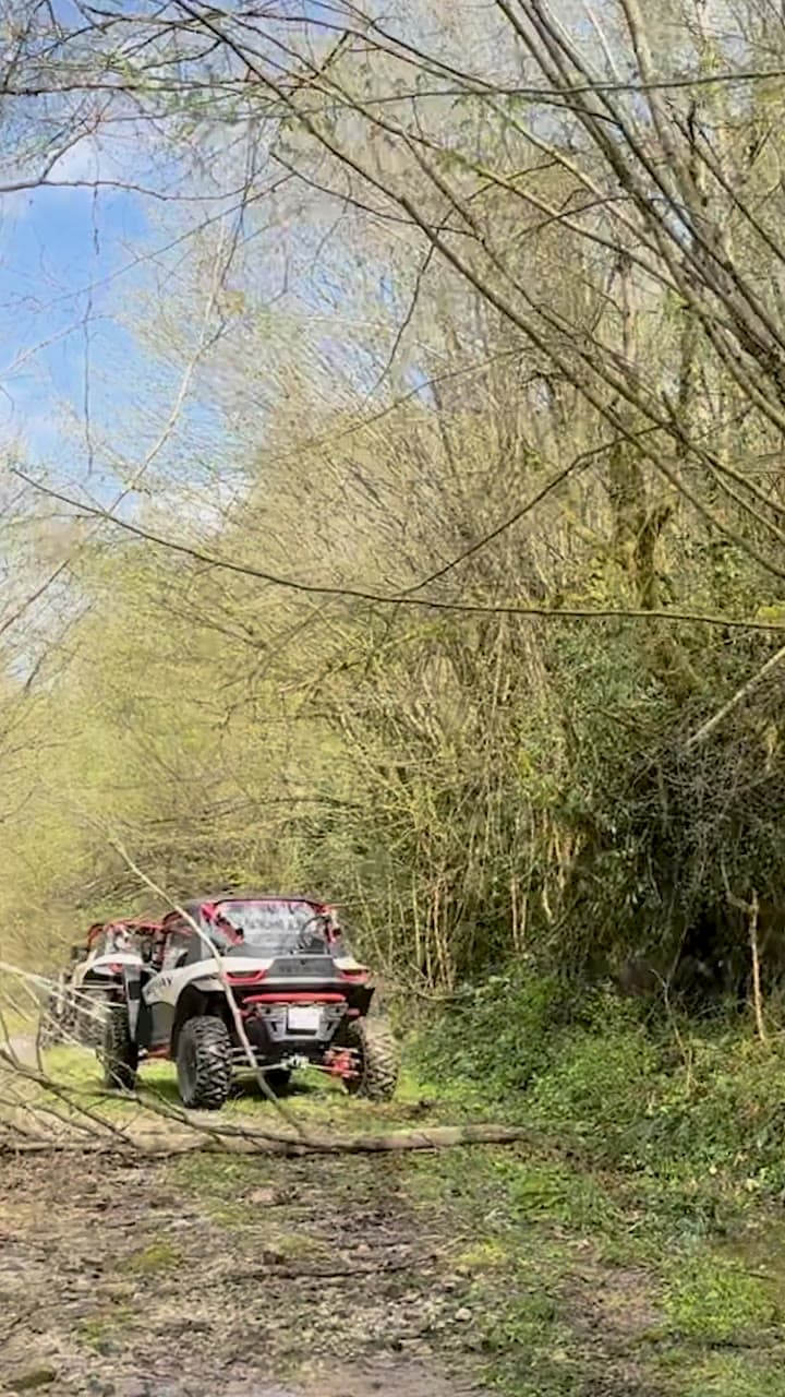 Orman patikasında off-road araçları