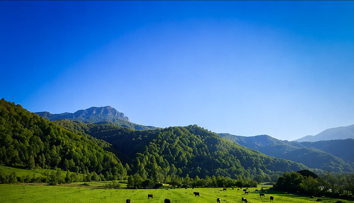 Zoni Yaylası: Kamp, Trekking ve Motokros İçin Doğa Sahnesi